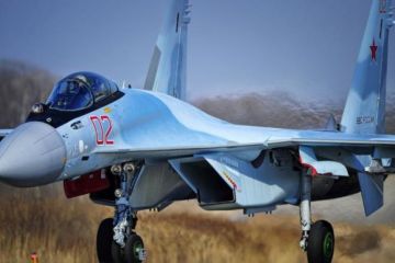 Почему F-22 испугался российского Су-35С