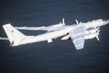 Ту-142 выследили американские подлодки в Арктике