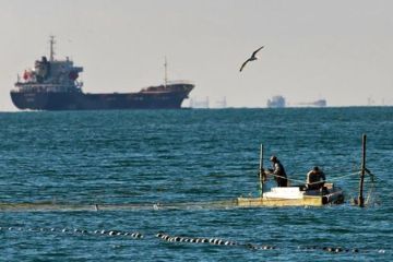 Киев в истерике: Россия заблокировала Азовское море