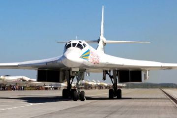 Зачем ракетоносцы Ту-160 обживаются на «заднем дворе» США