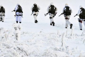 Чехию погнали на войну за Арктику