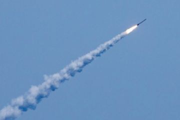 Чем мешает США российская крылатая ракета 9М729