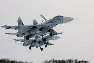 На Украине заявили о переброске Россией в Крым сотни боевых самолетов «нового типа»