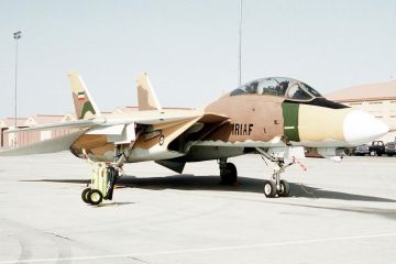 Иранские F-14 дадут бой американским F-22