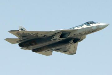 США раскритиковали стелс-покрытие Су-57