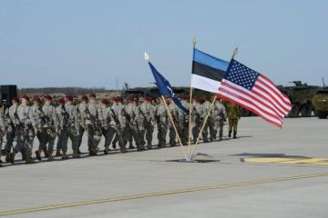 «Зимний лагерь» НАТО появился в Эстонии