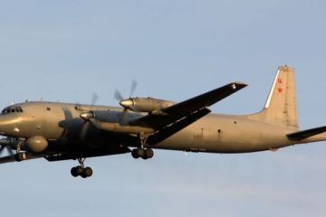 В Минобороны России рассказали о полёте Ил-38 над Японским морем