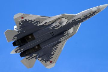 Турецкий эксперт оценил плюсы и минусы закупки у России Су-57, Су-35 и МиГ-35