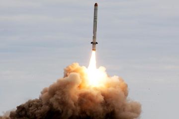 В НАТО предложили России начать уничтожать ракеты ради «спасения» ДРСМД