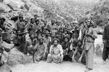 Сколько всего «душманов» воевало против Советской армии в Афганистане