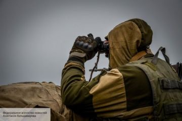 В ДНР объявили о бессрочном перемирии, военным Донбасса запретили открывать огонь