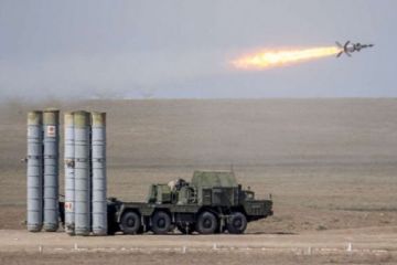 Грозное оружие или предмет для насмешек: Молчащие в Сирии С-300 встревожили журналистов