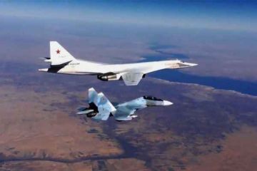 «Белые лебеди» над Балтикой семь часов кошмарили натовских провокаторов