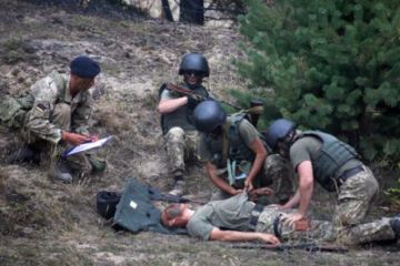 Конфликт на передовой. Армия вывела полк «Азов»* с передовой после попытки захвата позиций ВСУ