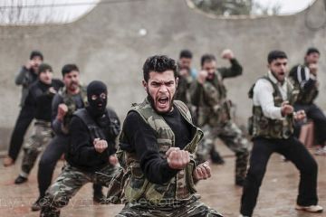 Круговорот террористов: боевики из Идлиба — на Украину, «укрокиборги» — в Идлиб