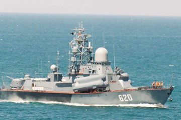 Почему МРК 12341 «Овод» называли «пистолетом у виска империализма»?