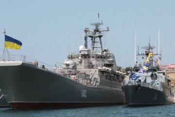 Проект BlackSeaMoM — новая «кормушка» для украинских чиновников