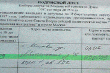 «Независимые» кандидаты специально провалили сбор подписей - протесты и видео показали их истинные намерения