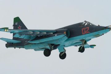 Раскрыты новые возможности "Суперграчей"