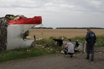 Детектив из Германии намерен придать огласке имена ответственных за крушение MH17