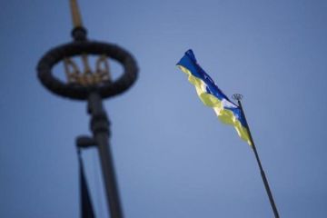 Польша не в состоянии справиться с наплывом желающих легализоваться граждан Украины