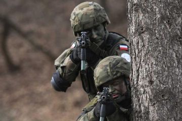 Польша собралась "воевать" с Калининградом