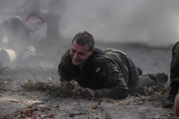 Шутки закончились: обиженный на Донбасс Киев собрался брать Ростов