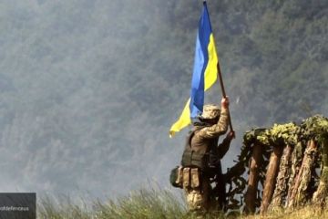 Украина готовится к силовому решению конфликта в Донбассе