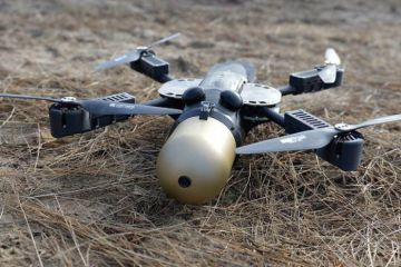 Летел в сторону детсада: над Донецком сбит ударный дрон ВСУ с гранатой