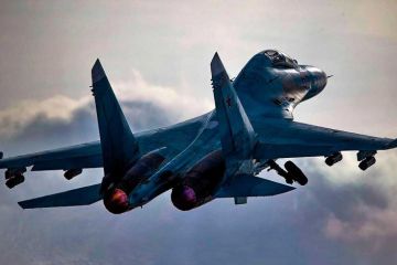 Су-27 потрепал шведского разведчика