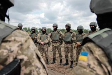 Обезоруженная Украина: зачем Киев решил «продавать» оставшуюся армию