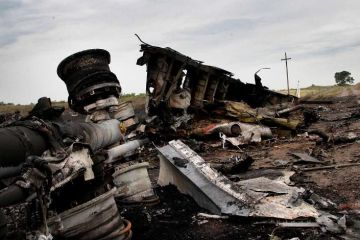 Иностранные следователи ведут на Украине тихое расследование гибели "Боинга" MH17