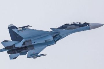 Поставки Россией ударных истребителей Беларуси: оборотная сторона медали