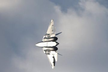 "Никому не советую испытать его мощь": пилотаж Су-57 показали на видео