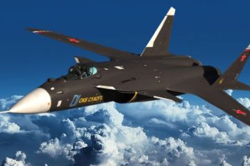 Ко мне, «Беркут»