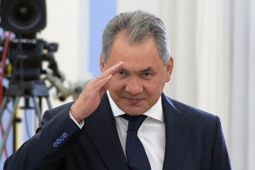 Санду никак не может уняться из-за визита Шойгу