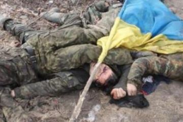 Предателей Крыма покрошили в Донбассе