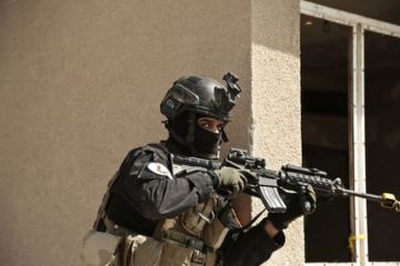 Эстонцы подтвердили информацию о спецназе США на границе с Россией