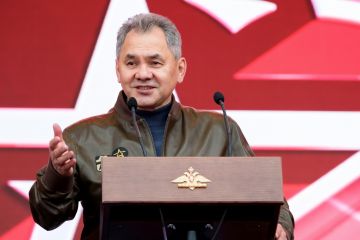 По законам Геббельса:	Западные СМИ открыли «информфронт» против Шойгу