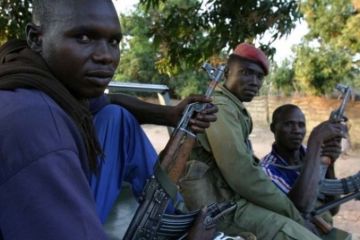 Совбез ООН одобрил смягчение оружейного эмбарго в отношении ЦАР