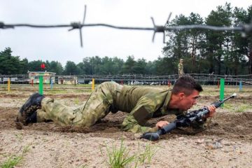 Американец о русских снайперах: «Этот детский сад мы перещелкаем как куропаток»