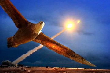 Как разведка США поставила звёздно-полосатый флаг на русском секретном полигоне