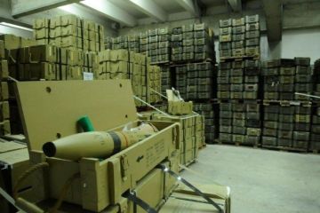 Генсек ОБСЕ обсудит в Молдавии и ПМР ликвидацию российских боеприпасов