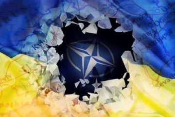 Операция «имитация» или Что означают заявления о развороте Киева от НАТО