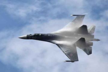 «Это гораздо лучше американского мусора!»: российские истребители произвели фурор на авиашоу в Турции