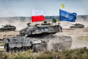 «Defender-2020»: план войны НАТО против России