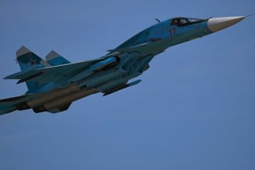 В Эстонии заявили о нарушении российским Су-34 воздушного пространства республики
