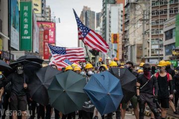 Протестующие в Гонконге бросили «коктейли Молотова» в здание правительства