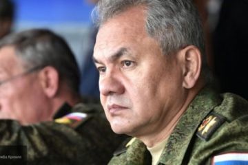 Китайцы восхитились упомянутым Шойгу «кошмаром авианосцев» США