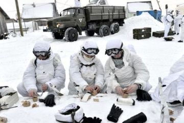 Россия выступила за возобновление встреч начальников генштабов арктических стран